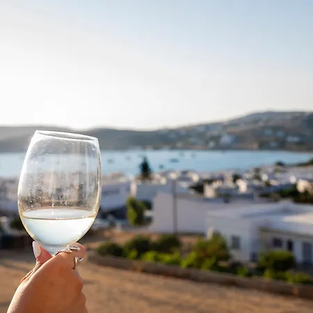 Gasthuis Crystal Dream